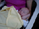 Benedict33f3f01012