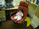 Sasha_in_Dada's_office40053a790